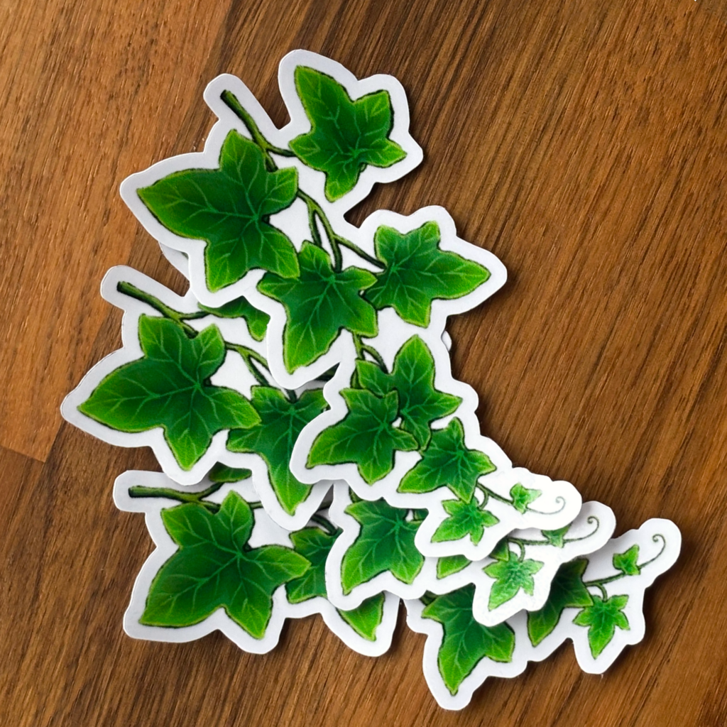 murgröna sticker