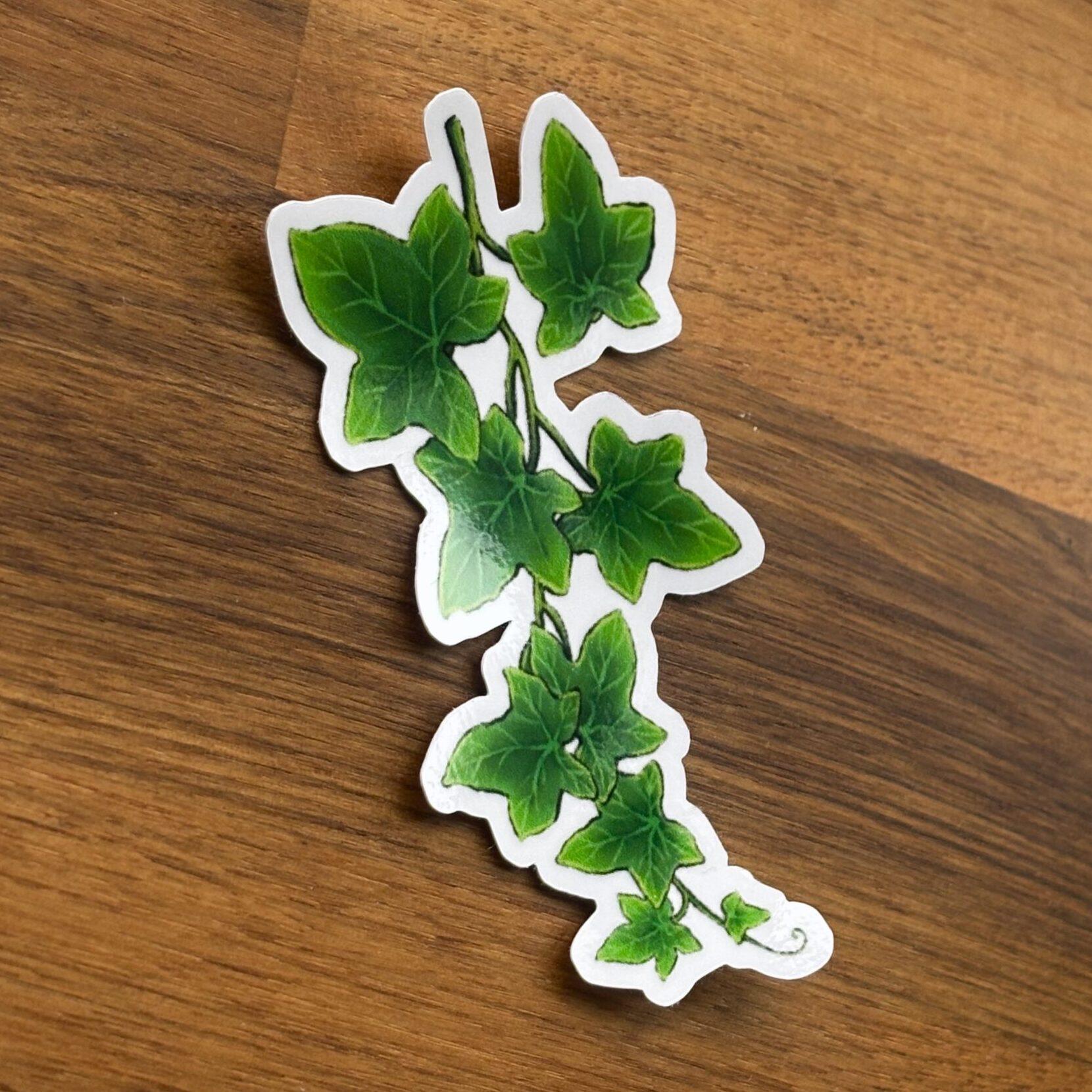 murgröna sticker - Bild 3